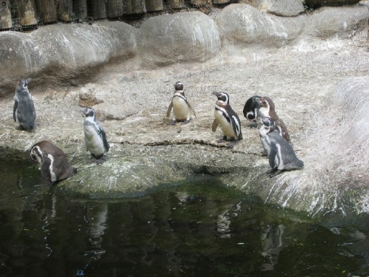2009-08-01 021_1.jpg