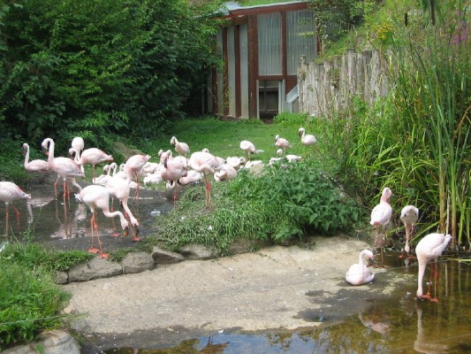 2009-08-01 025_1.jpg