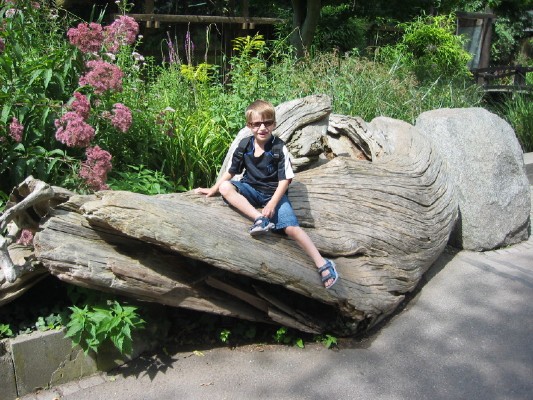 2009-08-01 029_1.jpg