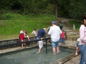 2009-05-01 042_1.jpg